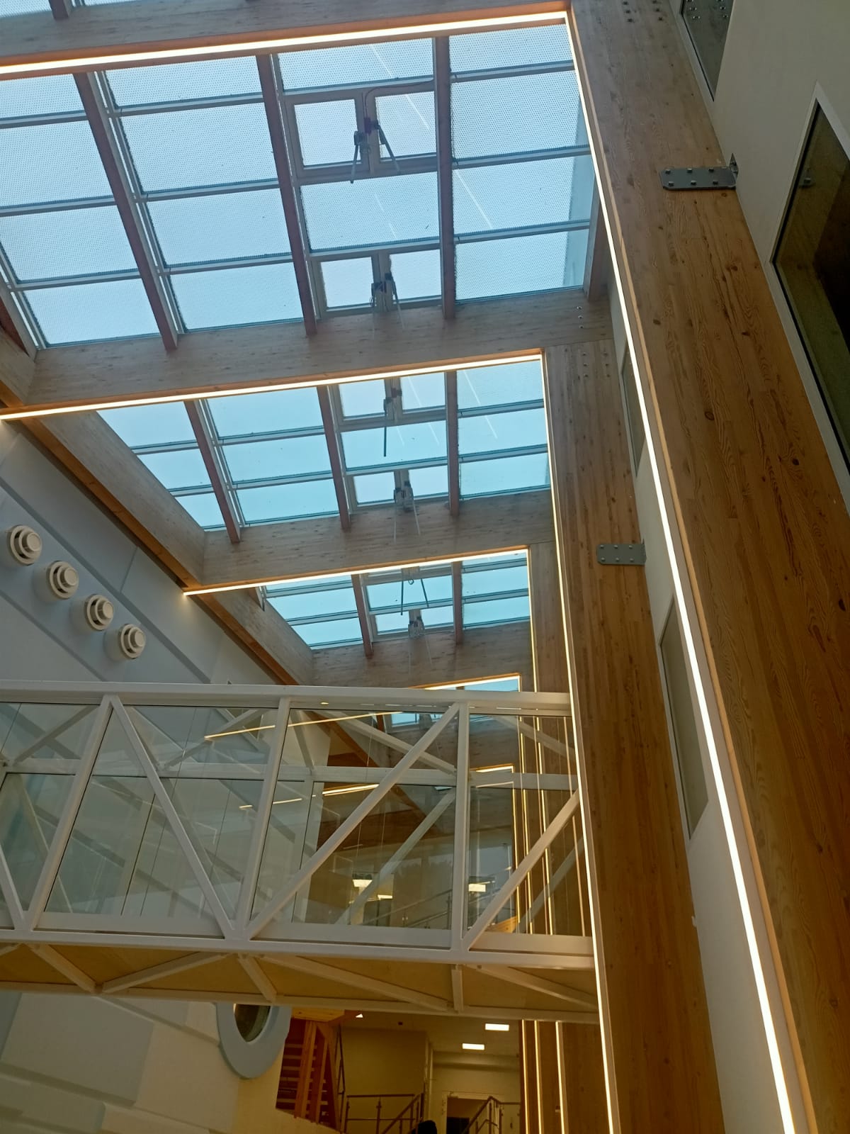 Bee-Light Image 2024-12-16 at 13.44.16 (1)