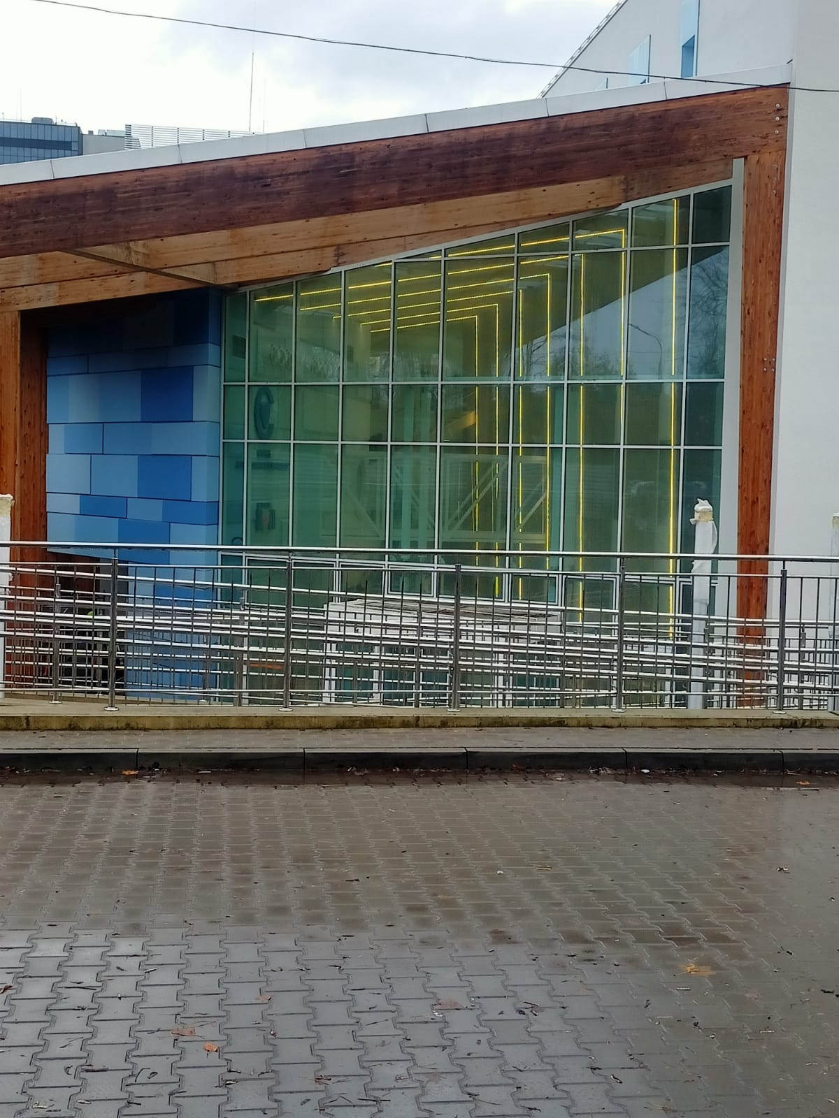 Bee-Light Image 2024-12-16 at 13.44.16 (3)