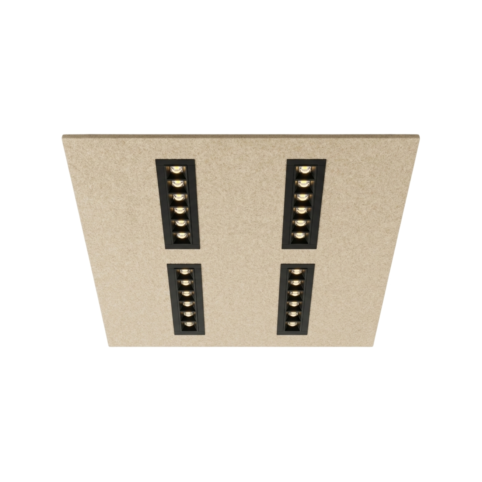 DAISY RASTER ACO Bee Light