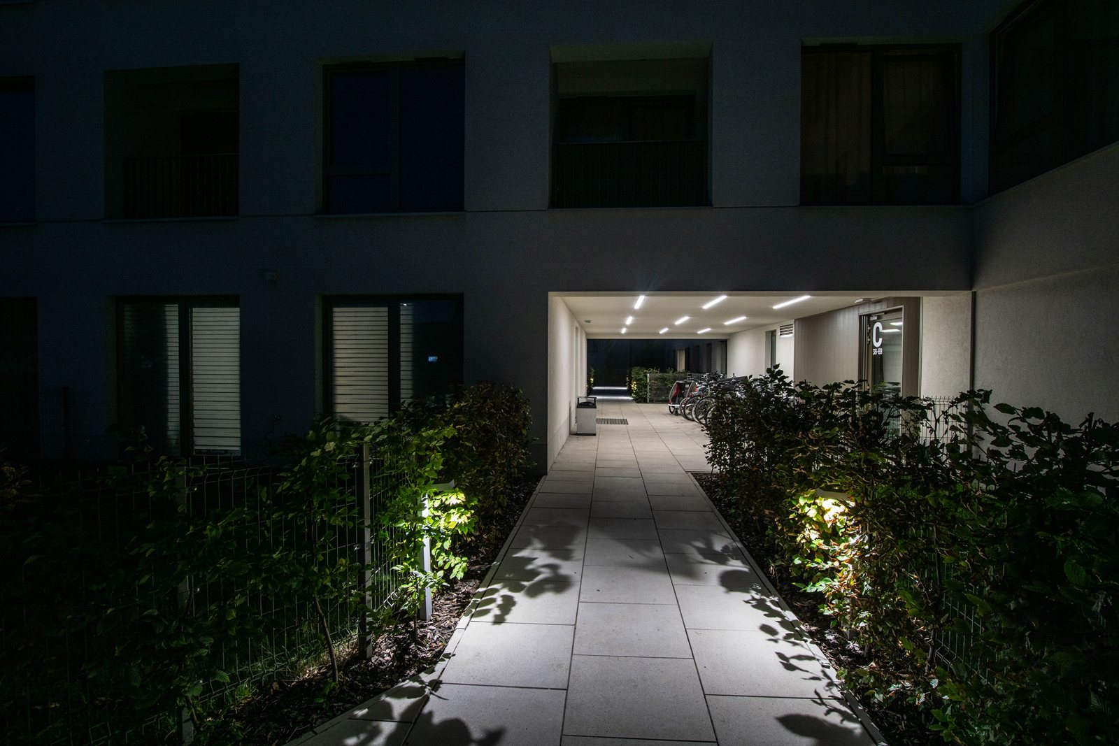 DSC02041